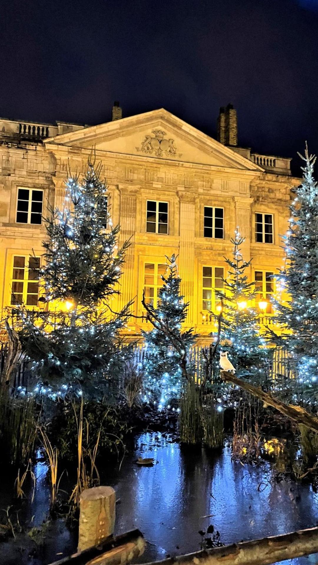 Appartement Cocon Lumineux Proche De La Fortifiee Et De Nausicaa