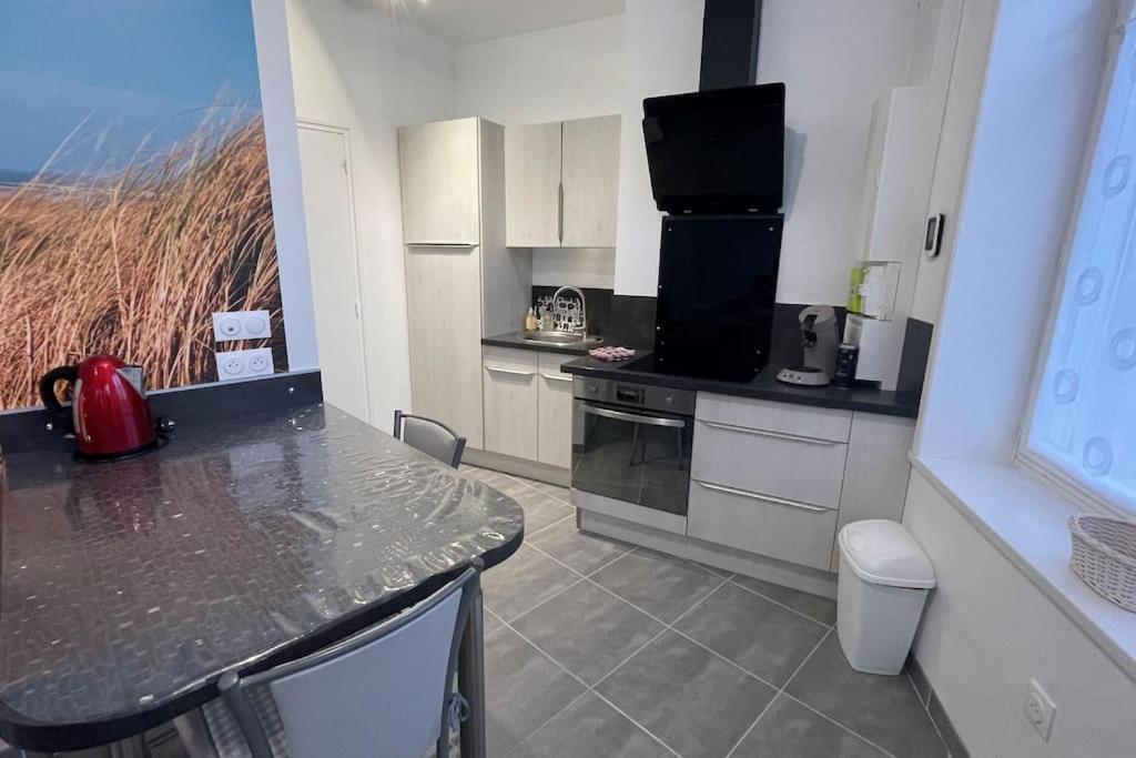 Cocon Lumineux Proche De La Fortifiee Et De Nausicaa Appartement Boulogne-sur-Mer